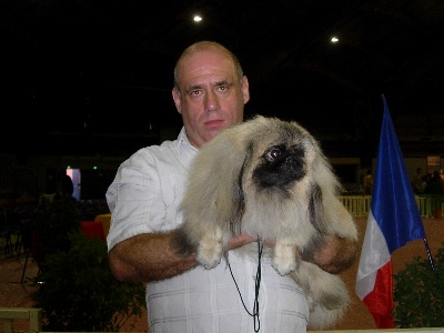 De La Colline Du Chateau - EXPOSITION canine international AVIGNON