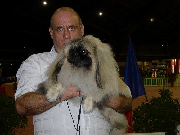 De La Colline Du Chateau - Howard en expo Martigues