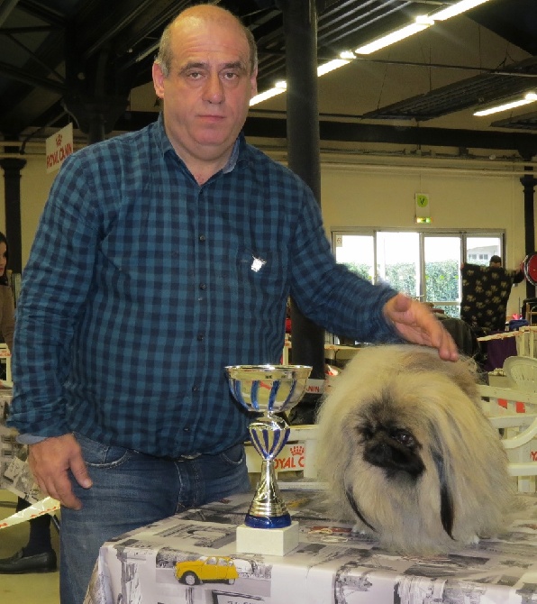 De La Colline Du Chateau - PARIS DOG CHOW 2015 SPECIALE DU CLUB