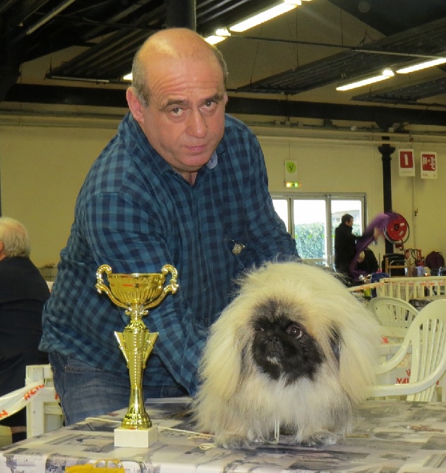 De La Colline Du Chateau - PARIS DOG CHOW 2015 SPECIALE DU CLUB